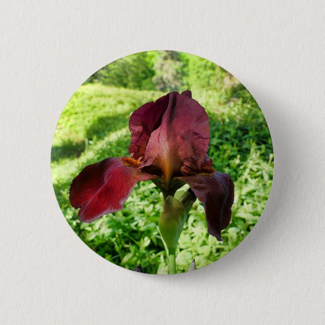 Bearded Iris Badge Button (Front)
