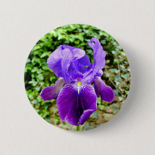Bearded Iris Badge Button
