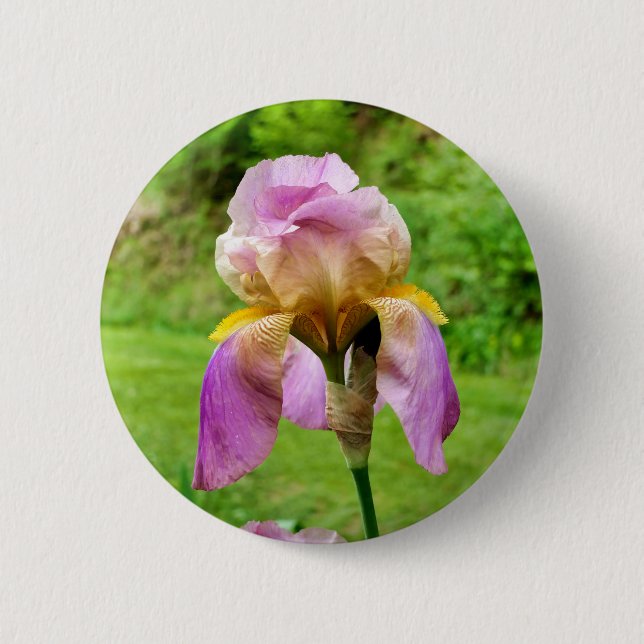Bearded Iris Badge Button (Front)