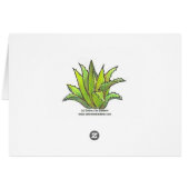 Bearded iris cards (Back Horizontal)