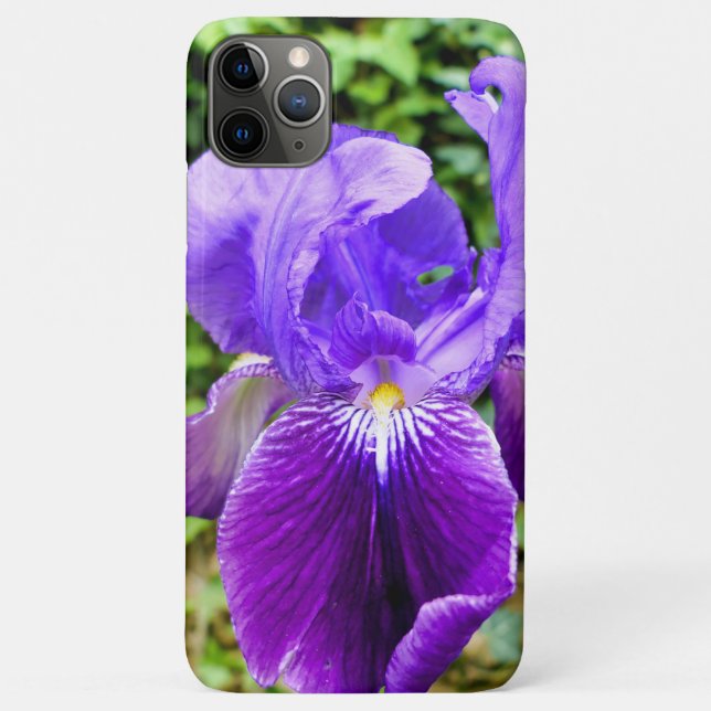 Bearded Iris Case-Mate iPhone Case (Back)