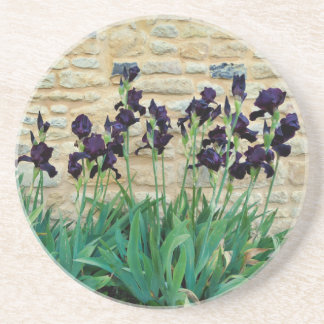 Bearded Iris Coaster