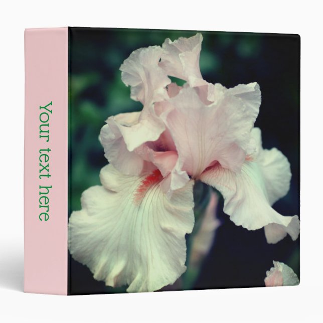 Bearded Iris Flower In Peach Personalized 3 Ring Binder (Front/Spine)