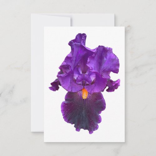 Bearded Iris Flower Power Thank You Card