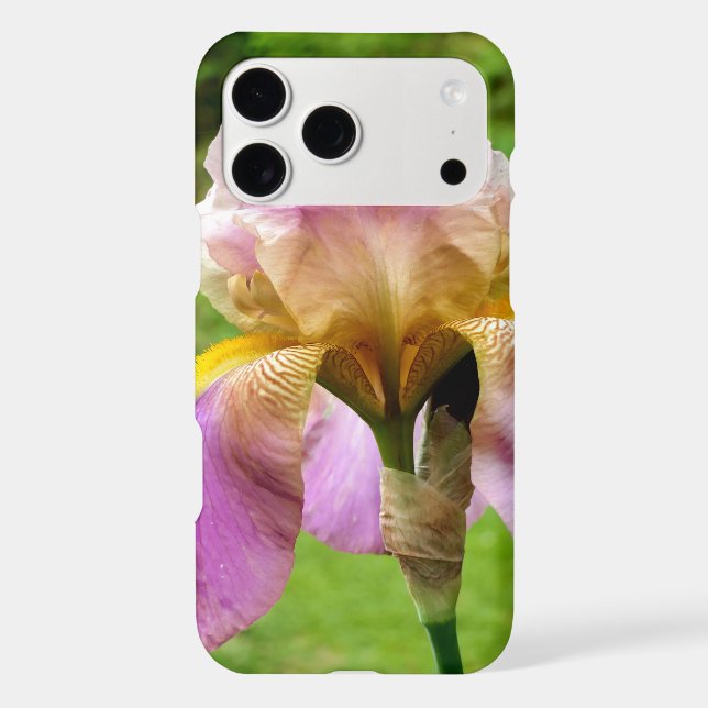 Bearded Iris Iphone Case (Back)