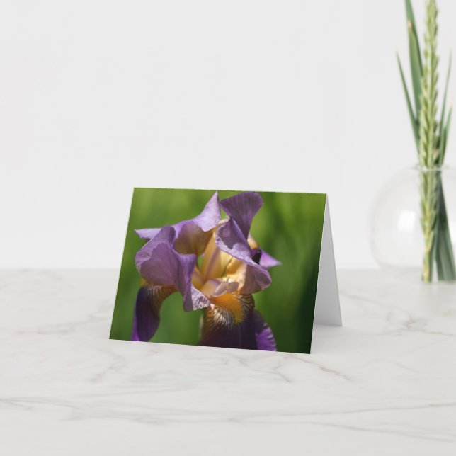 Bearded Iris  Letterpress Thank You Card (Front)