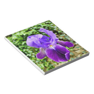 Bearded Iris Notepad