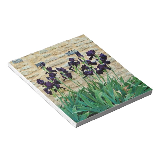 Bearded Iris Notepad (Angled)
