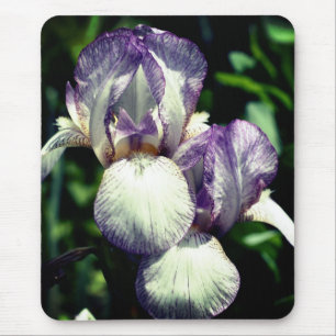 Bearded Iris Pair Flower  Mouse Pad