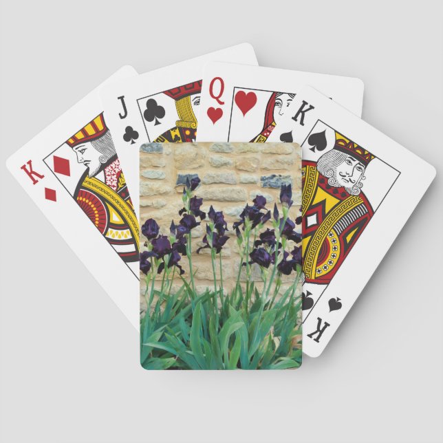 Bearded Iris Poker Cards (Back)