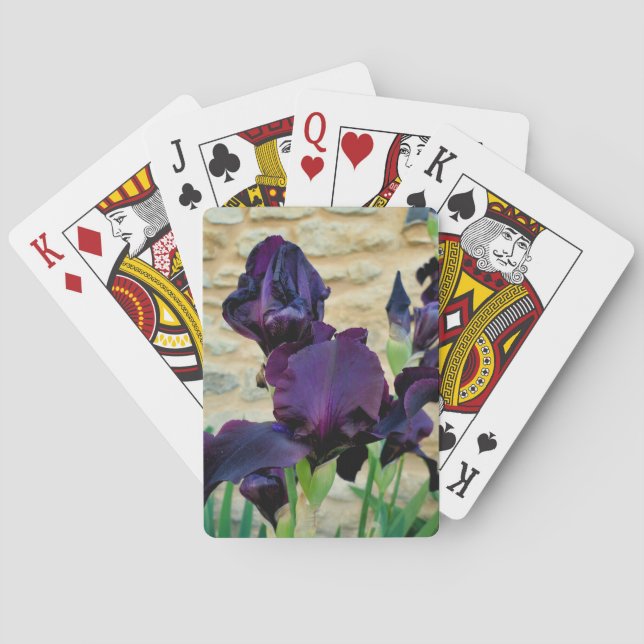 Bearded Iris Poker Cards (Back)