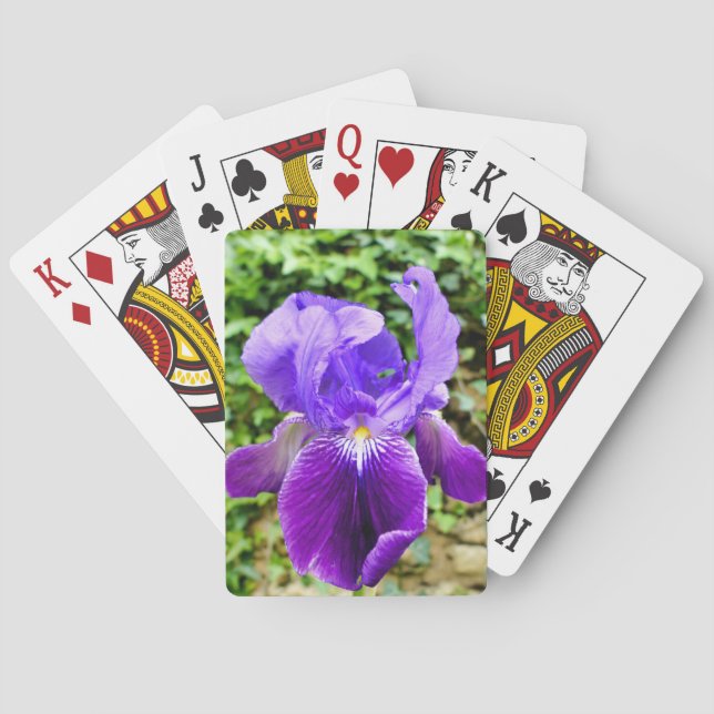 Bearded Iris Poker Cards (Back)