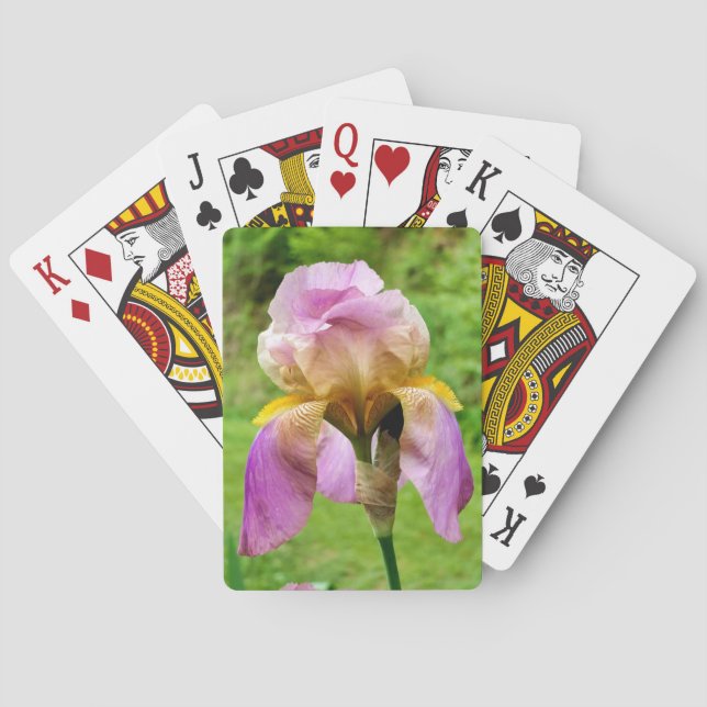 Bearded Iris Poker Cards (Back)