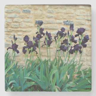 Bearded Iris Stone Coaster