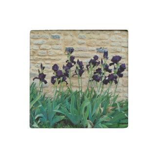 Bearded Iris Stone Magnet