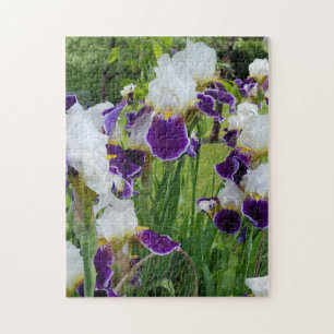 Bearded Irises Spring Flowers Jigsaw Puzzle
