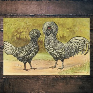 Bearded Silver Polish Hen and Rooster Vintage Farm
