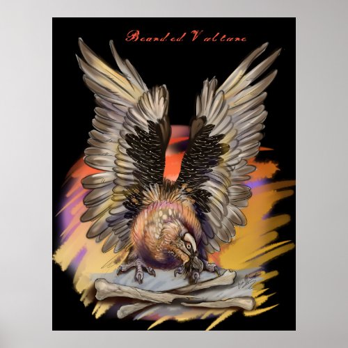 Bearded Vulture Poster