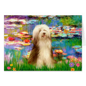 Beardie 16 - Lilies 2 (Front Horizontal)