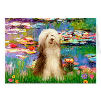 Beardie 16 - Lilies 2 Cards