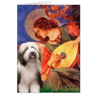 Beardie 1 - Mandolin Angel Cards