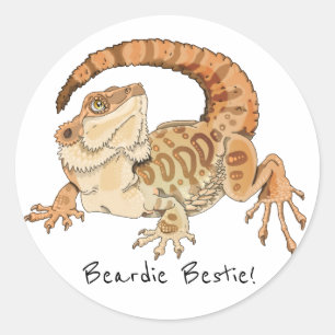Beardie Bestie! Classic Round Sticker