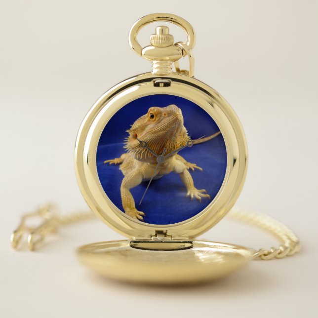 Beardie on Blue Pocket Watch (Inside)