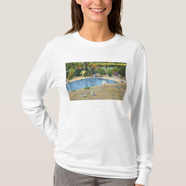 Beardsley Park View of Waterbirds T-Shirt (Front)