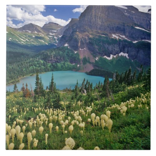 Beargrass above Grinnell Lake in the Many Ceramic Tile