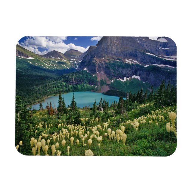 Beargrass above Grinnell Lake in the Many Magnet (Horizontal)