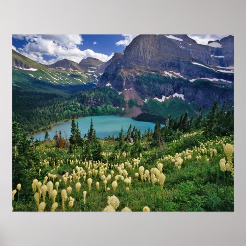 Beargrass above Grinnell Lake in the Many Poster