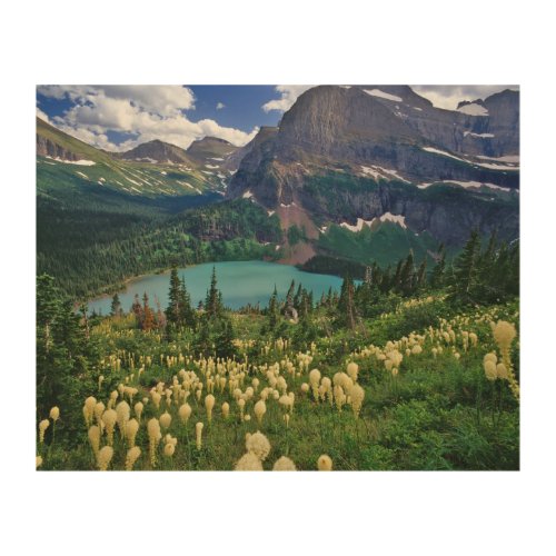 Beargrass above Grinnell Lake in the Many Wood Wall Decor