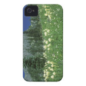 Beargrass at Eunice Lake, Mt. Rainier NP, WA, Case-Mate iPhone Case (Back)