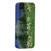 Beargrass at Eunice Lake, Mt. Rainier NP, WA, Case-Mate iPhone Case (Back/Right)