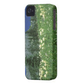 Beargrass at Eunice Lake, Mt. Rainier NP, WA, Case-Mate iPhone Case (Back Left)