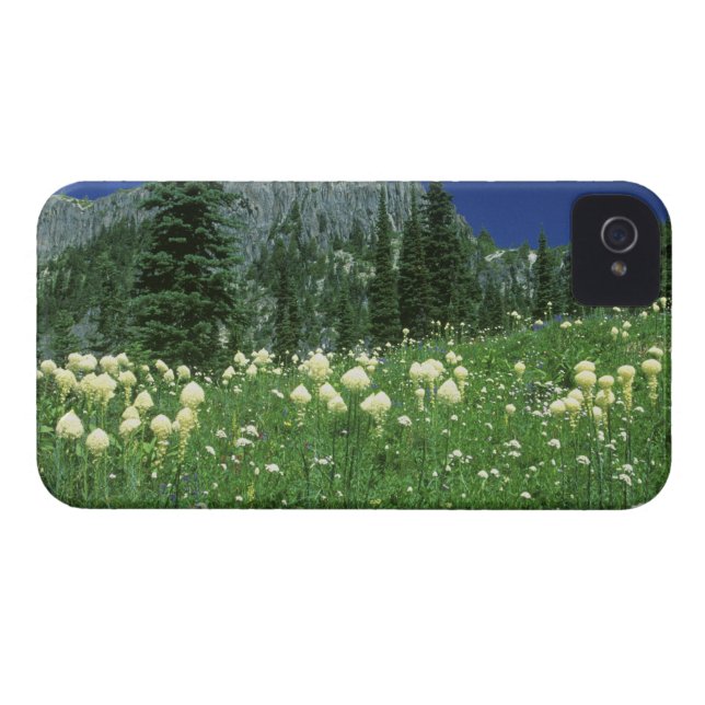 Beargrass at Eunice Lake, Mt. Rainier NP, WA, Case-Mate iPhone Case (Back Horizontal)