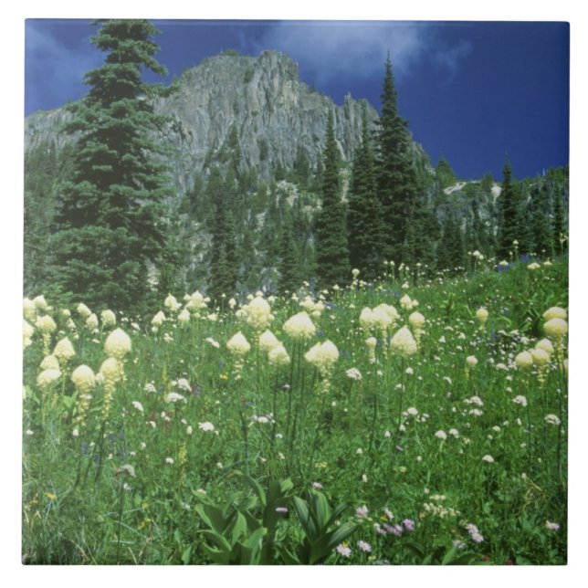 Beargrass at Eunice Lake, Mt. Rainier NP, WA, Ceramic Tile (Front)