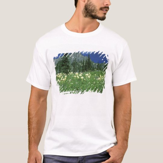 Beargrass at Eunice Lake, Mt. Rainier NP, WA, T-Shirt