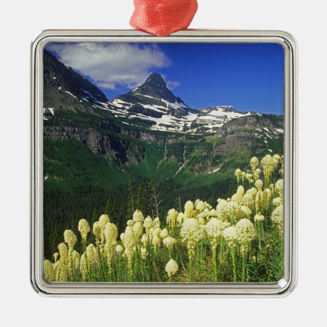 Beargrass at Logan Pass in Glacier National Park Metal Ornament (Front)