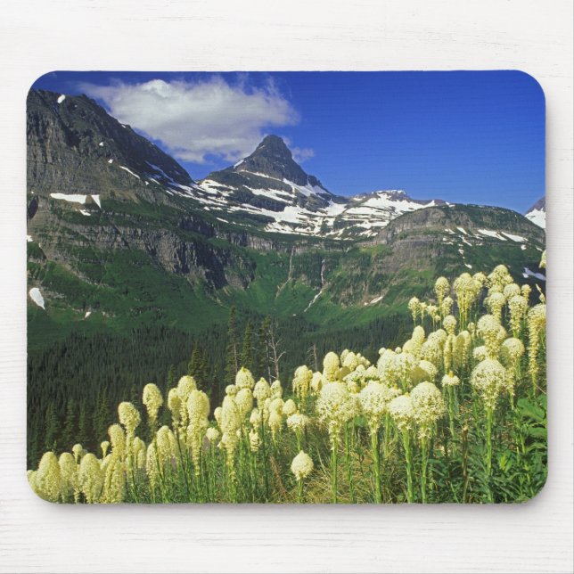 Beargrass at Logan Pass in Glacier National Park Mouse Pad (Front)
