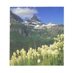 Beargrass at Logan Pass in Glacier National Park Notepad