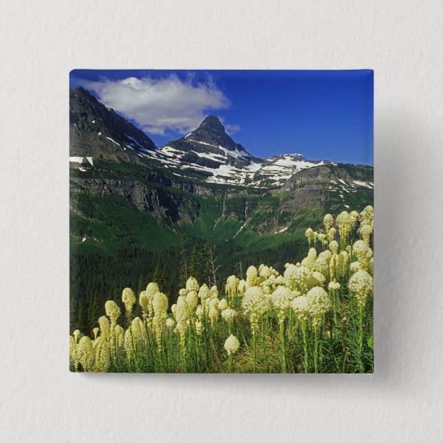 Beargrass at Logan Pass in Glacier National Park Pinback Button (Front)