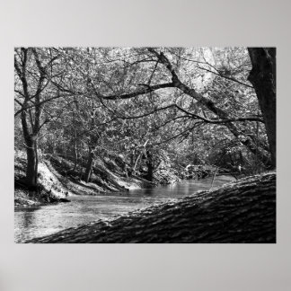 Beargrass Creek (Black & White Photo Print) Poster