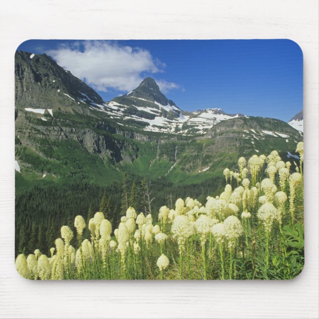 Beargrass near Logan Pass in Gacier National Mouse Pad (Front)
