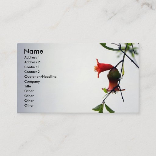 Customizable Bearing Fruits/Profile Card Business Card