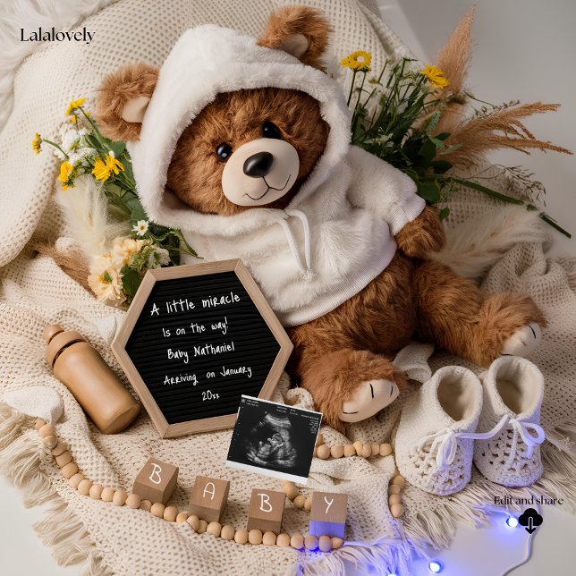 Bearly Wait Teddy Bear Pregnancy Announcement (Creator Uploaded)