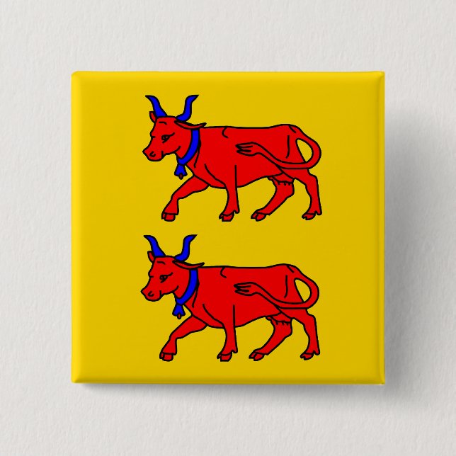 Bearn, France flag Button (Front)