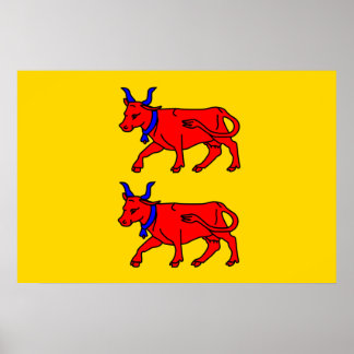 Bearn, France flag Poster