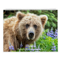 BEARS - Belinda Greb Photography