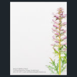 Bear's breech pink green watercolor art letterhead<br><div class="desc">Pretty Acanthus mollis bear's breech watercolor botanical fine art painted letterhead. Flowers in pretty shades of light pink and green leaves on a white background, customize with your own address details and contact information along the bottom of your letterheads, ideal for floral or plant businesses, weddings and thank yous. Printed...</div>